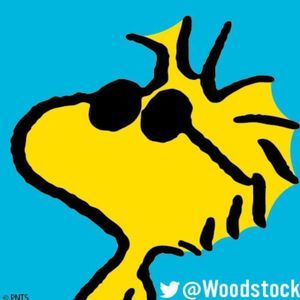 Meet your Posher, Ash